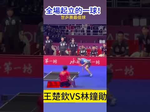 田中碧激昂,助威,逆风翻盘,开云官网,开云品牌,时尚奢侈品,开云集团,奢侈品官网,开云新闻,品牌故事,开云产品,开云商城,开云在线购物,开云时尚